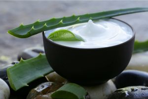  Capricho Beauty Supply. The Surprising Benefits and Uses of Aloe Vera Creams. Their ability to soothe, hydrate, and heal the skin while fighting signs of aging makes them a must-have in your skincare arsenal. 