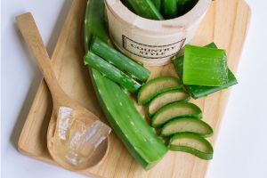  Capricho Beauty Supply. The Surprising Benefits and Uses of Aloe Vera Creams. Discover a range of Aloe Vera-infused products that harness the power of this wonder plant for your skin's benefit.