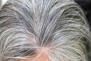 Capricho Beauty Supply. Guide to Coloring and Touching Up Gray Hair. If you're looking to color or touch them up, this guide is for you.