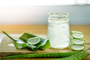 Capricho Beauty Supply. The Power of Aloe Vera in Hair Care: More than Just a Trend. From ancient Egypt, where it was called the "plant of immortality," to modern beauty aisles, the allure of aloe vera remains timeless. 