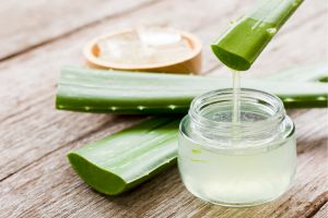 Capricho Beauty Supply. The Power of Aloe Vera in Hair Care: More than Just a Trend.