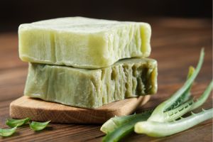 Capricho Beauty Supply. Beneficios of Aloe Vera in Cosmetology.  Incorporate aloe vera products into your personal care routine and discover the results for yourself.