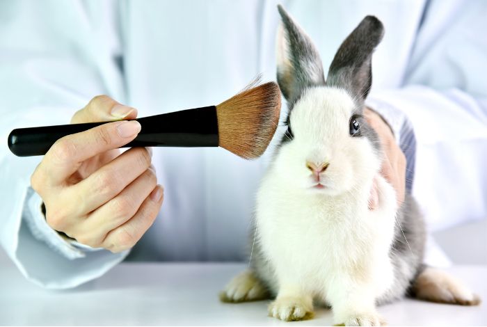 Capricho Beauty Supply. Myths and Truths About Vegan and Cruelty-Free Beauty Products. Ultimately, choosing vegan and cruelty-free beauty products is a personal decision that can have a positive impact on the world and your well-being.